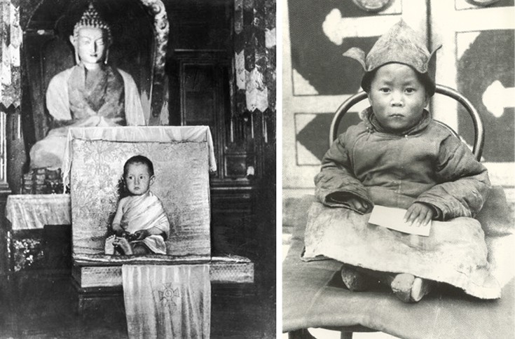 dllaimlllama1 dllaimlllama1