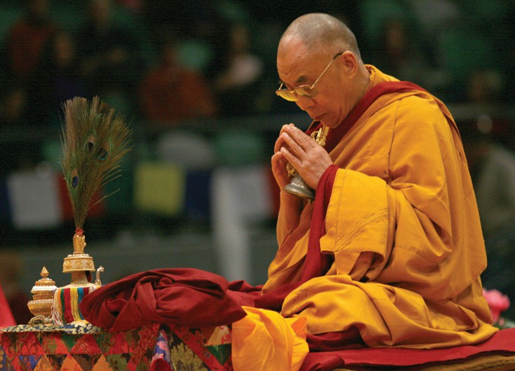 dllaimlllama14 dllaimlllama14