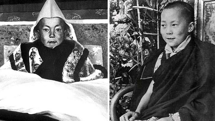 dllaimlllama2 dllaimlllama2