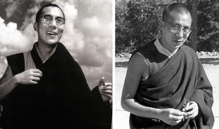 dllaimlllama5 dllaimlllama5