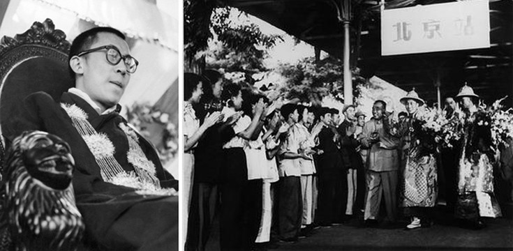 dllaimlllama7 dllaimlllama7