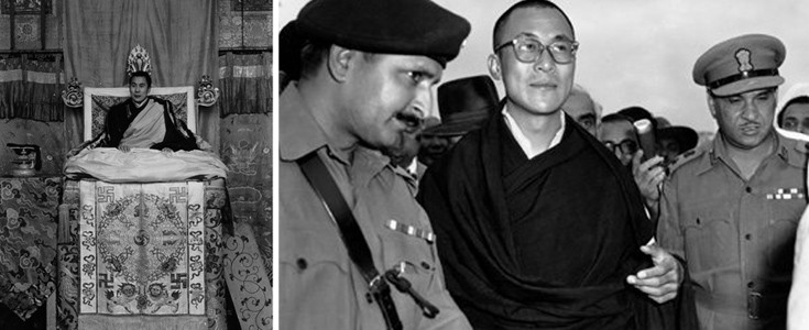 dllaimlllama8 dllaimlllama8