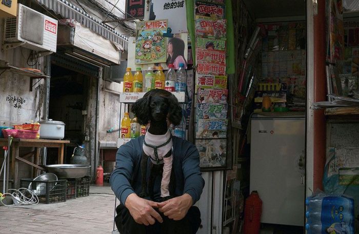 do_not_believe_your_eyes_09