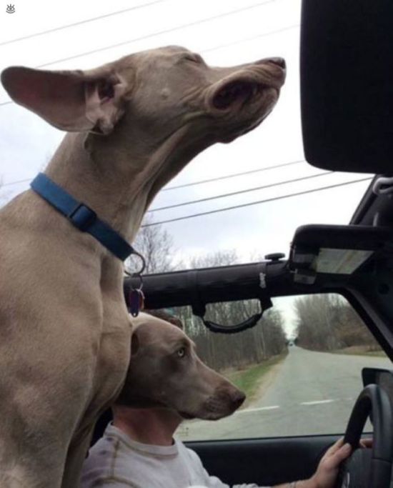 do_not_believe_your_eyes_17