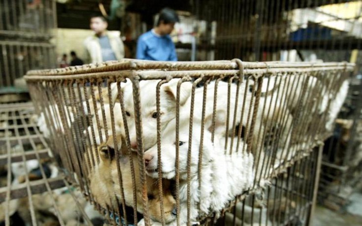 ksiasmdal2 ksiasmdal2