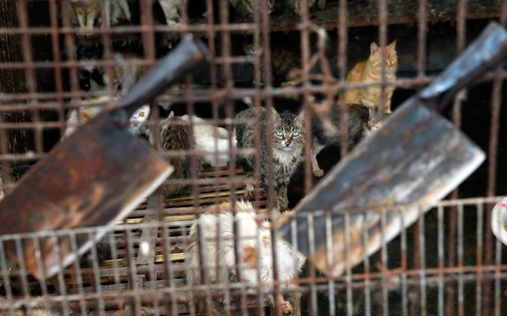 ksiasmdal3 ksiasmdal3