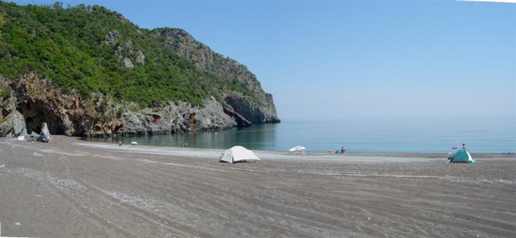 limnionas3