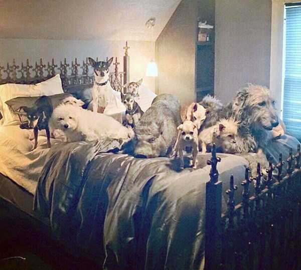 man-who-lives-with-animals-18 man-who-lives-with-animals-18