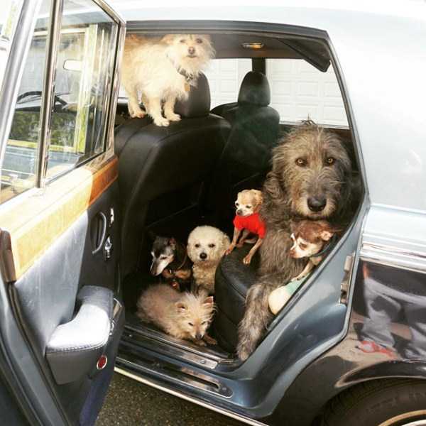 man-who-lives-with-animals-20 man-who-lives-with-animals-20