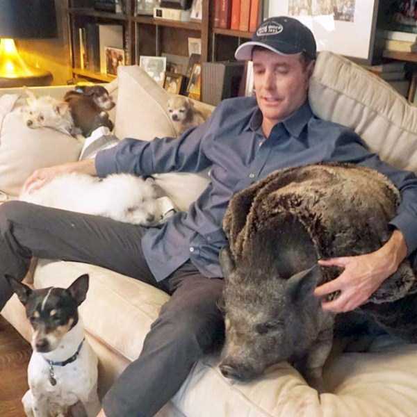 man-who-lives-with-animals-23 man-who-lives-with-animals-23