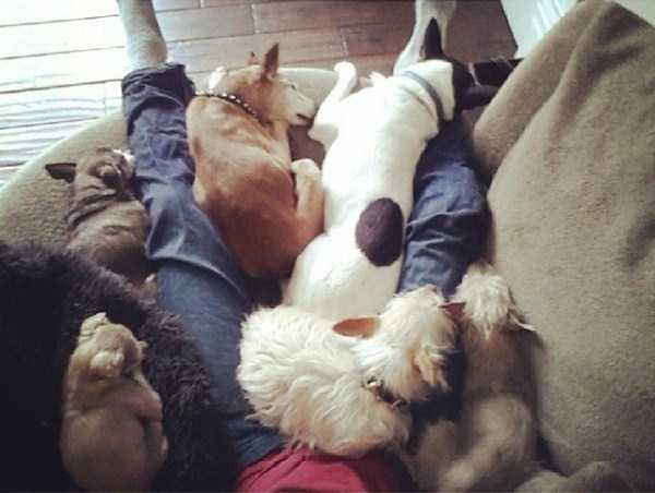 man-who-lives-with-animals-4 man-who-lives-with-animals-4