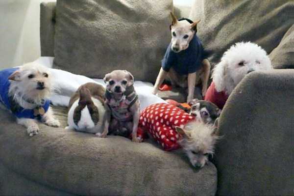 man-who-lives-with-animals-6 man-who-lives-with-animals-6