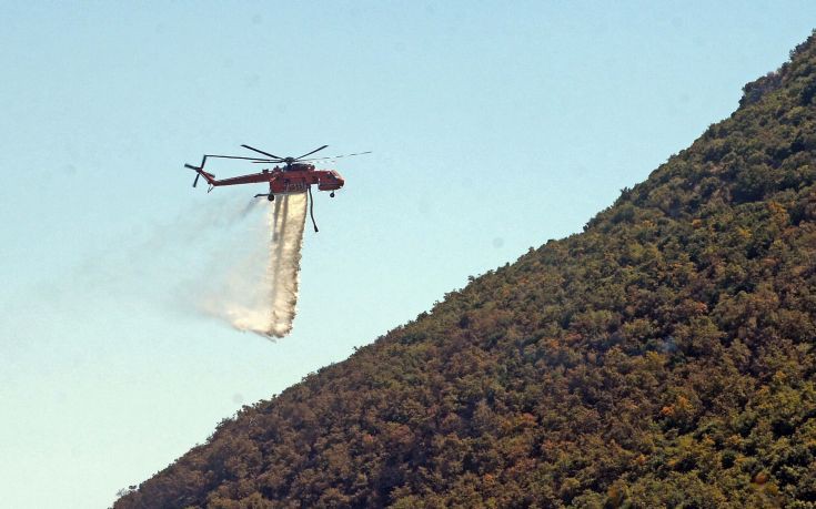Μάχη με τις φλόγες στους Γαργαλιάνους Μεσσηνίας