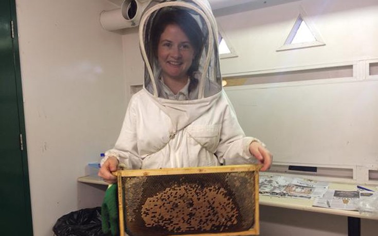 repasmgfa03 repasmgfa03