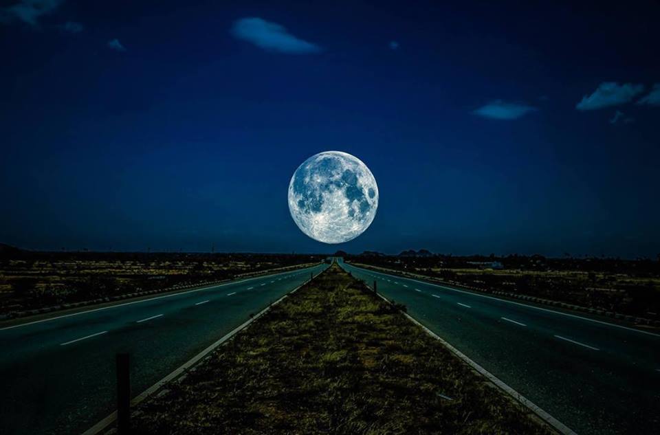 11059320_866377983457952_68895040631617638_n