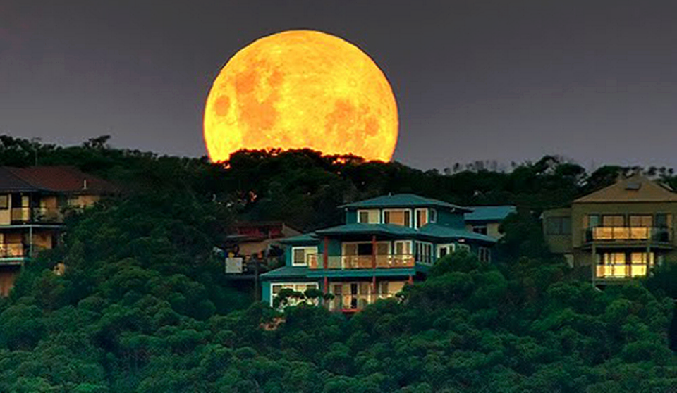 11222358_865394633556287_1608139768096487476_n