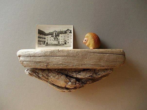 11666212_866108883484862_4468492668687389002_n