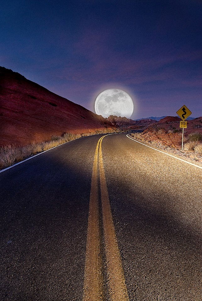 11695869_866378000124617_1303281922773349129_n