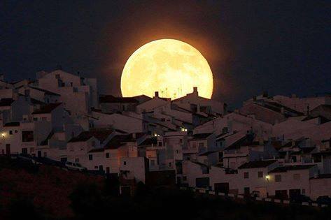 11698513_865394550222962_693885137996108275_n