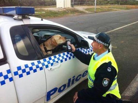 15-lets-not-forget-that-cops