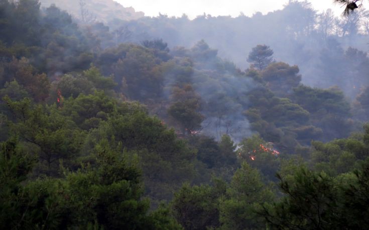 Σε εξέλιξη φωτιά στην Άνω Ποταμιά Ακράτας