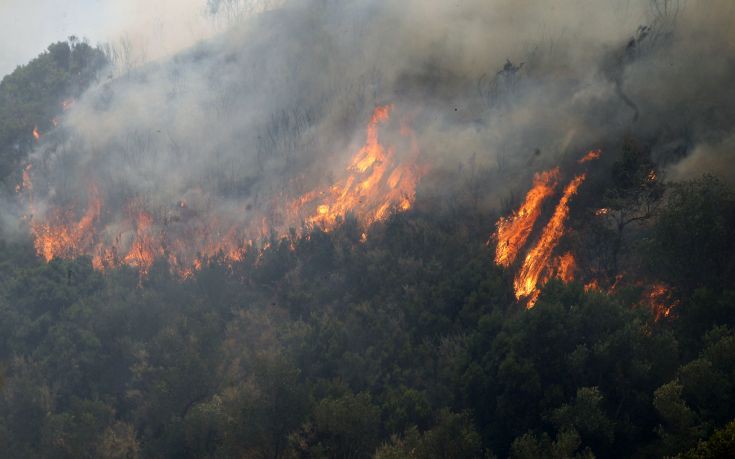 Φωτιά στους πρόποδες της Πάρνηθας