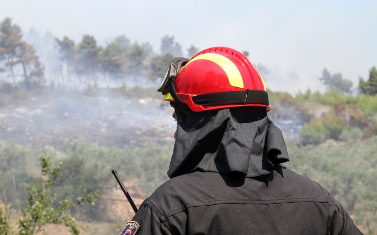 Σε εξέλιξη πυρκαγιά στην Αρτέμιδα Αττικής