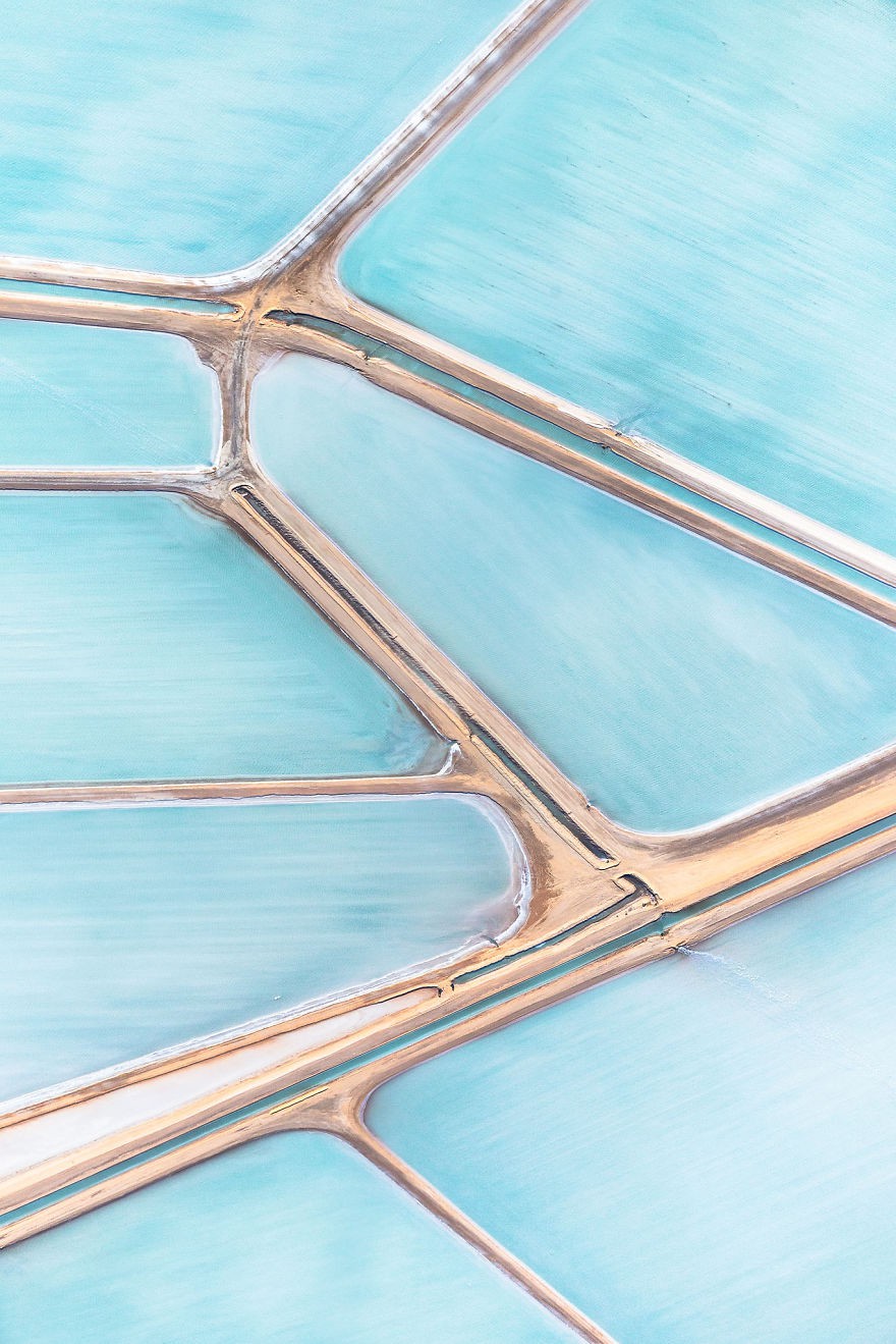 Blue-Fields-No-2-1__880 Blue-Fields-No-2-1__880