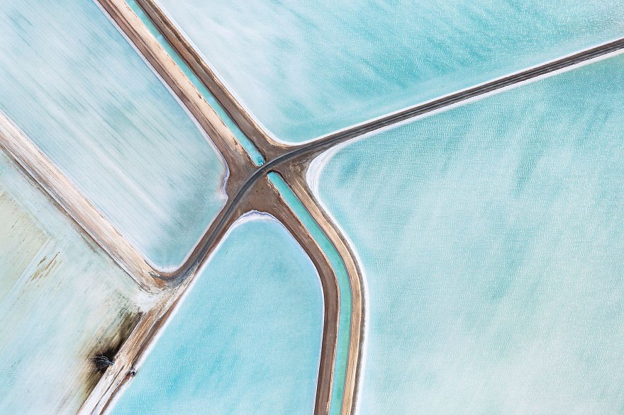 Blue-Fields-No-3-1__880 Blue-Fields-No-3-1__880