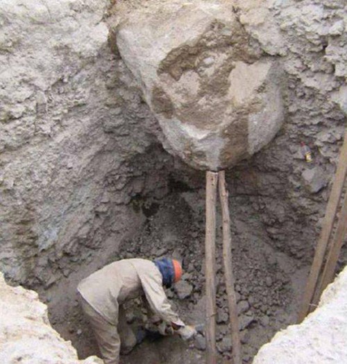 Photos-that-will-give-you-goose-bumps-007