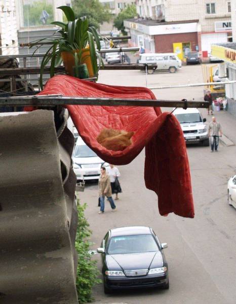 always_remember_that_safety_comes_first_640_24