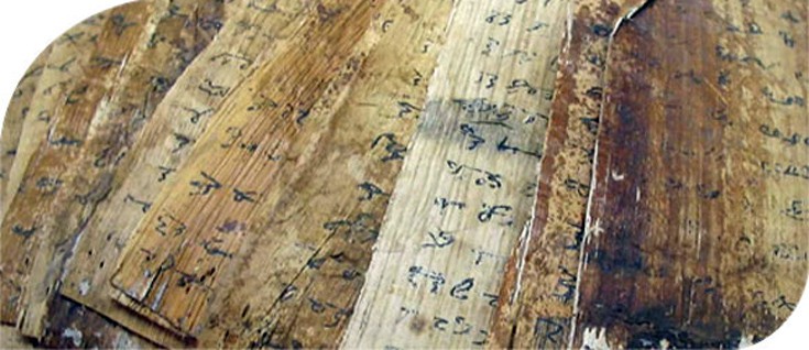 caailuunn8 caailuunn8