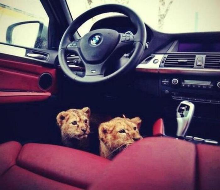 chapo_guzman_sons_05 chapo_guzman_sons_05