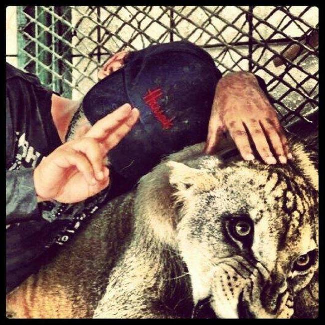 chapo_guzman_sons_06 chapo_guzman_sons_06