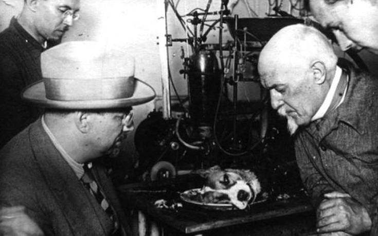 doogoodogss1 doogoodogss1