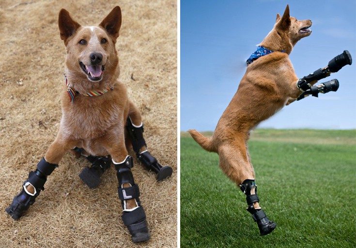 doogoodogss4 doogoodogss4