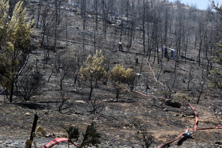 Έσβησε η φωτιά στα Πυργιώτικα Ναυπλίου