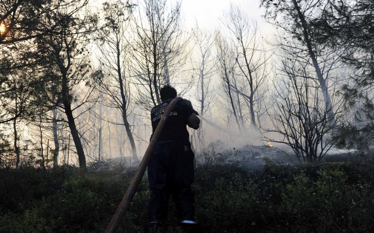 Υπό μερικό έλεγχο η πυρκαγιά στο Ν. Μαρμαρά Χαλκιδικής