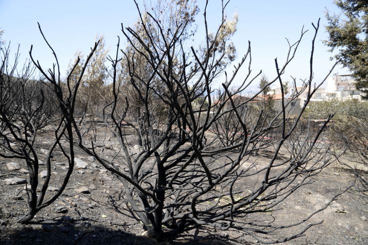 Σε πλήρη ύφεση η πυρκαγιά στο Ρέθυμνο