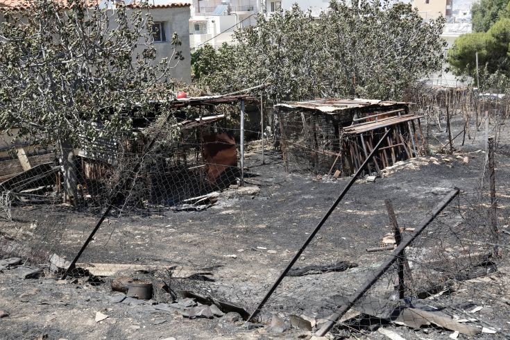 Óôéãìéüôõðï áðü ôçí ðåñéï÷Þ ôïõ Õìçôôïý ôï ÓÜââáôï 18 Éïõëßïõ 2015, åðüìåíç çìÝñá ôçò êáôáóôñïöéêÞò ðõñêáãéÜò. Ç öùôéÜ Ý÷åé êáôáêÜøåé åêáôïíôÜäåò óôñÝììáôá äáóéêÞò Ýêôáóçò.  (EUROKINISSI/ÓÔÅËÉÏÓ ÌÉÓÉÍÁÓ)