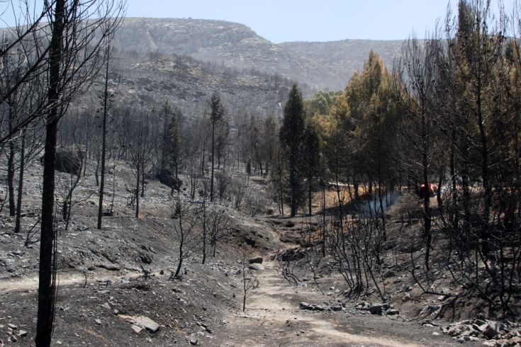 Óôéãìéüôõðï áðü ôçí ðåñéï÷Þ ôïõ Õìçôôïý ôï ÓÜââáôï 18 Éïõëßïõ 2015, åðüìåíç çìÝñá ôçò êáôáóôñïöéêÞò ðõñêáãéÜò. Ç öùôéÜ Ý÷åé êáôáêÜøåé åêáôïíôÜäåò óôñÝììáôá äáóéêÞò Ýêôáóçò.  (EUROKINISSI/ÓÙÔÇÑÇÓ ÄÇÌÇÔÑÏÐÏÕËÏÓ)