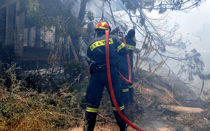 Πυρκαγιά ξέσπασε σε δασική έκταση στη Ναυπακτία