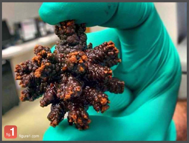 giatoasm10 giatoasm10