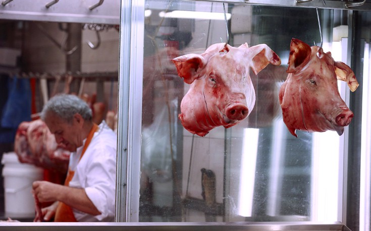 greeceurozon18 greeceurozon18