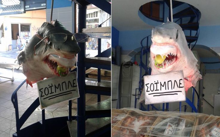 Βάφτισαν τον καρχαρία… Σόιμπλε!