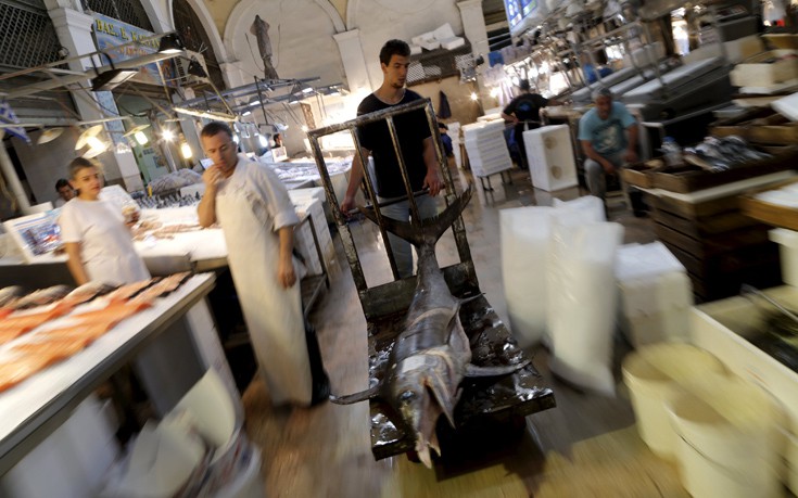 kleikaellada14 kleikaellada14