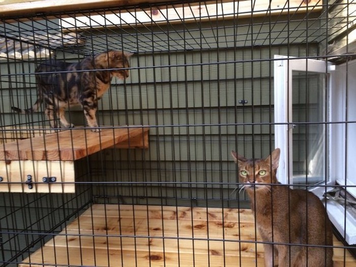 looks_like_normal_patio_03 looks_like_normal_patio_03