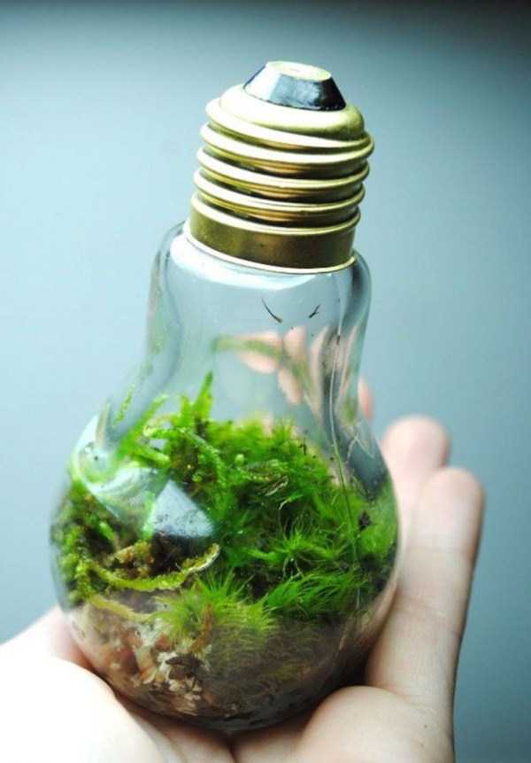 old-reused-lightbulbs-7