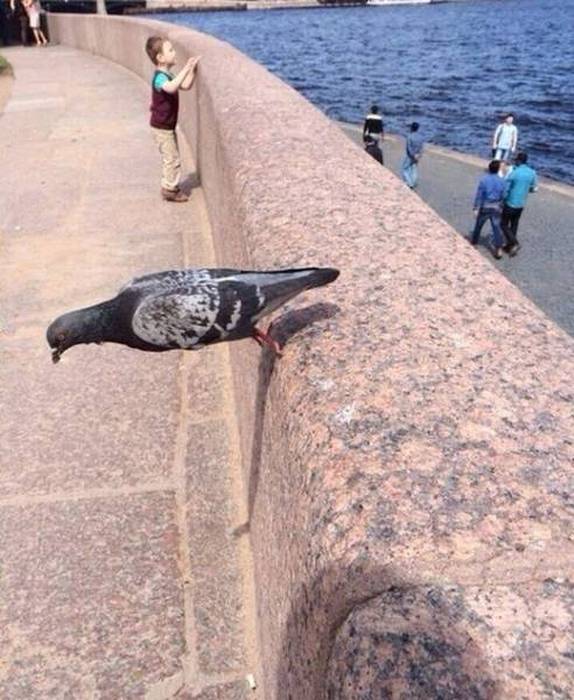 perfect_photo_moments_04