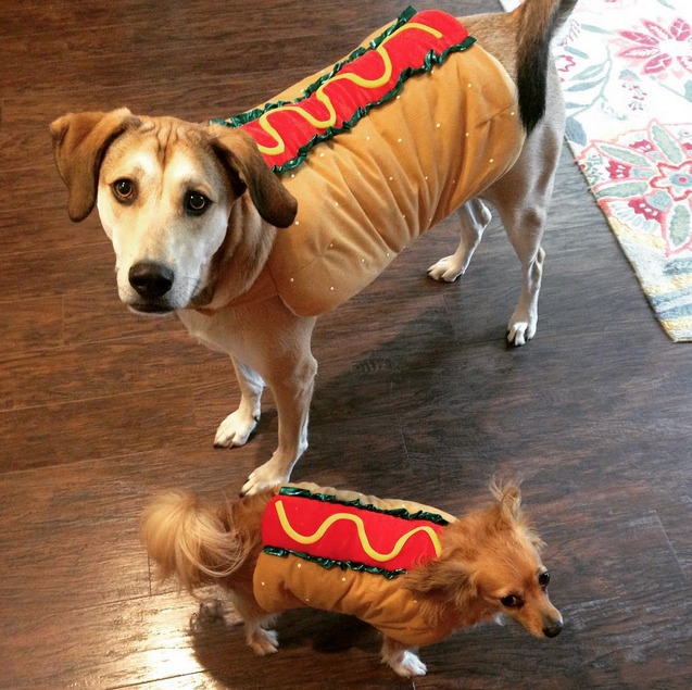 screen-shot-2015-07-23-at-1-19-16-pm